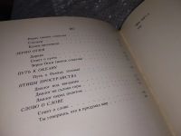 Лот: 16797755. Фото: 4. Зерно огня, Владимир Трефилов...