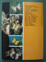 Лот: 5381220. Фото: 2. Открытки "Бабочки Средней Азии... Открытки, билеты и др.