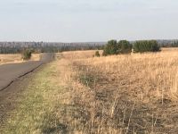 Лот: 13700123. Фото: 2. Продам землю в манском районе. Продажа