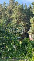 Лот: 25299101. Фото: 13. 4-комн. дача , садоводческое товарищество...