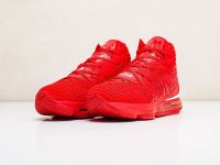 Лот: 17096529. Фото: 2. Кроссовки Nike Lebron XVII (18671... Мужская обувь