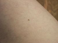 Лот: 4700478. Фото: 4. Minolta S414 крупная матрица. Красноярск