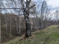 Лот: 25293113. Фото: 14. 2-комн. дача , садоводческое некоммерческое...