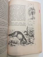 Лот: 21378868. Фото: 6. Альфред Шклярский. Томек в стране...