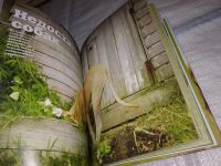 Лот: 12578480. Фото: 6. Почему собаки лучше кошек, Бредли...