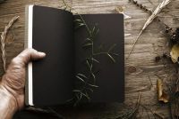 Лот: 3457291. Фото: 2. Forest Note. Канцелярские и офисные товары