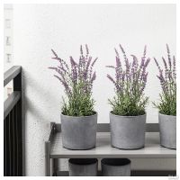 Лот: 13615409. Фото: 3. Искусственное растение в горшке... Сувениры, подарки