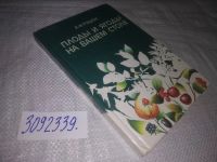 Лот: 5297538. Фото: 11. (3092339)(3092329)Плоды и ягоды...