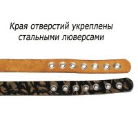 Лот: 20869844. Фото: 4. Ошейник из натуральной кожи для... Красноярск