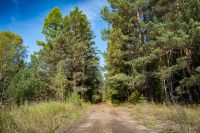 Лот: 4978618. Фото: 12. Участки у леса и реки в поселке...