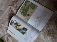 Лот: 14168291. Фото: 2. Коллекционная книга "Художественный... Искусство, культура
