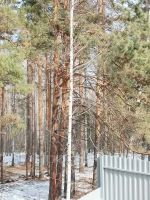 Лот: 25297875. Фото: 15. 1-комн. дом , Красноярск Красноярск...
