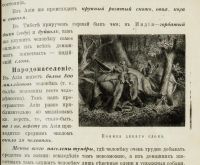 Лот: 15403053. Фото: 11. Начальный курс географии. * 1914...