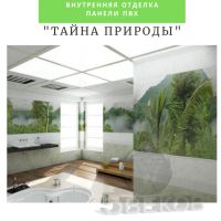 Лот: 19068197. Фото: 2. Стеновые панели ПВХ Тайна природы... Отделочные материалы