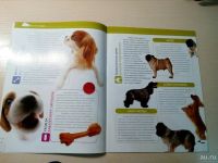 Лот: 12730021. Фото: 2. 9 журналов про собак. Журналы, газеты, каталоги
