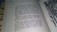 Лот: 10838308. Фото: 3. Мастерская солнца, Игорь Смольников... Красноярск