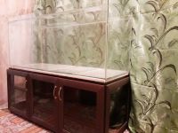 Лот: 14358084. Фото: 2. аквариум. Аквариумистика