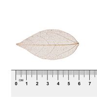 Лот: 25012984. Фото: 2. Листья скелетированные "Mr.Painter... Ручная работа