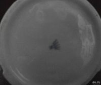 Лот: 9094386. Фото: 5. статуэтка мальчик с клеткой Германия