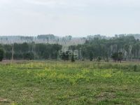 Лот: 25289754. Фото: 2. участок , садоводческое некоммерческое... Продажа