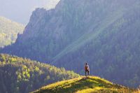 Лот: 8573684. Фото: 3. Юпитер 37a. Дешего. Красноярск