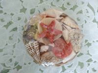 Лот: 14548070. Фото: 2. Ракушки. Предметы интерьера