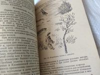 Лот: 17439374. Фото: 6. Истребление волков В.В.Рябов Библиотечка...