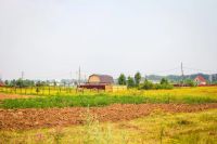 Лот: 8091902. Фото: 9. Продам участок д.Терентьево