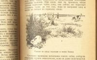 Лот: 16195504. Фото: 5. Протасов Б.Д. Охота с гончими...