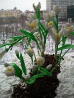 Лот: 1018166. Фото: 2. Торт "Подснежники". Кондитерские изделия, конфеты