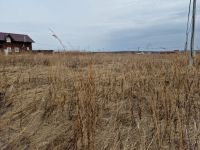 Лот: 9639795. Фото: 2. Участок 16соток в ДНП Потапово... Продажа