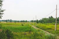 Лот: 8091902. Фото: 3. Продам участок д.Терентьево. Недвижимость