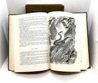 Лот: 24675225. Фото: 6. 📚 Николай Сладков. Собрание сочинений...