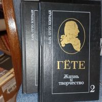 Лот: 24619781. Фото: 2. ГЁТЕ .Жизнь и творчество. Карл... Литература, книги