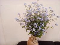 Лот: 11638942. Фото: 2. букет большой из незабудок. Цветы, букеты