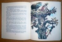 Лот: 10612234. Фото: 5. Божена Немцова. Золотая книга...