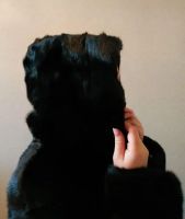 Лот: 14704037. Фото: 3. Шуба норковая. Одежда, обувь, галантерея