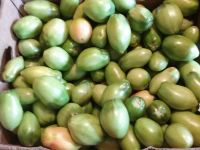 Лот: 11897010. Фото: 2. Настоящие минусинские помидоры... Продукты