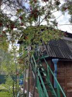 Лот: 25296286. Фото: 6. 3-комн. дача , село Арейское село...