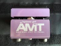 Лот: 6647492. Фото: 7. AMT Electronics WH-1 Japanese...