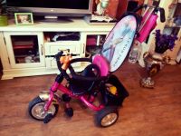 Лот: 7238841. Фото: 3. Велосипед LEXUS TRIKE RICH TOYS