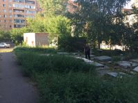 Лот: 10065596. Фото: 3. Подвал Погреб. Недвижимость