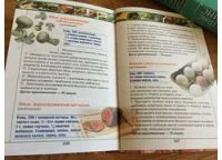 Лот: 11715401. Фото: 3. Мария Архипова "Чудо домашней... Литература, книги