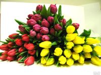 Лот: 9125086. Фото: 21. ТЮЛьПАНЫ. ОПТ, розница 8 Марта...