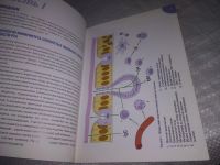 Лот: 21244172. Фото: 3. (1092342) Воспалительные заболевания... Литература, книги