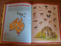 Лот: 2545368. Фото: 3. Большой Атлас Животных продам. Литература, книги