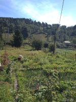 Лот: 10875645. Фото: 6. Дача Петряшино 10 соток с домом...