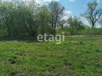 Лот: 25289536. Фото: 12. участок , село Есаулово село Есаулово...