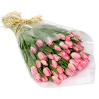 Лот: 7057543. Фото: 2. Тюльпаны по супер цене! 25 рублей... 23 февраля и 8 марта