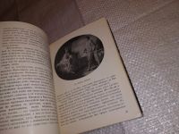 Лот: 15654224. Фото: 4. Лившиц Н. А., Жан-Оноре Фрагонар... Красноярск